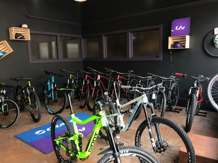 The Derailed Bike Shop 5