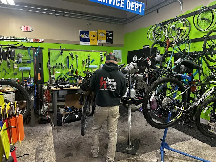 The Derailed Bike Shop 8