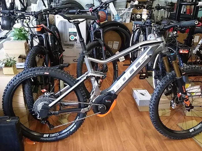 Aloha E-Bikes 5