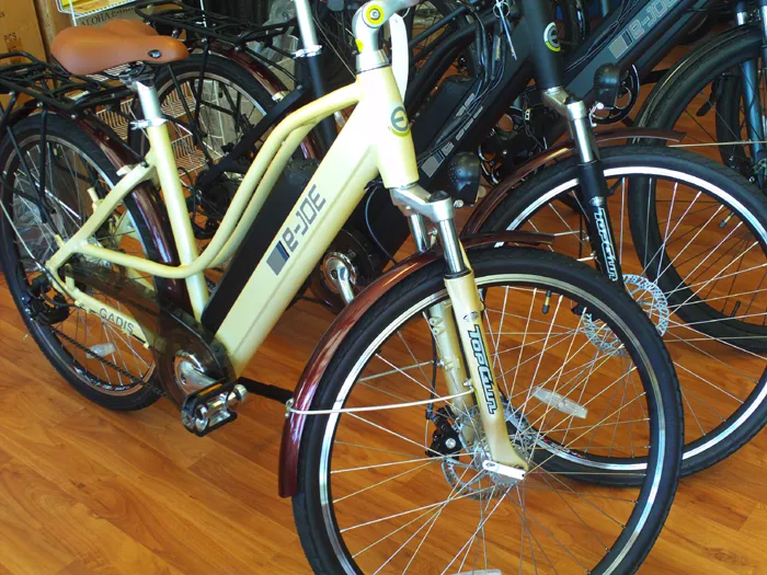 Aloha E-Bikes 9