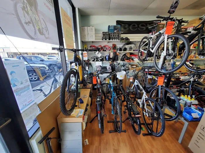 Aloha E-Bikes 2