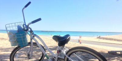 The Bike Shop