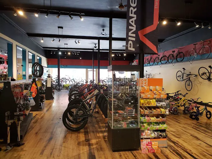 Dave's Bike Shop 8