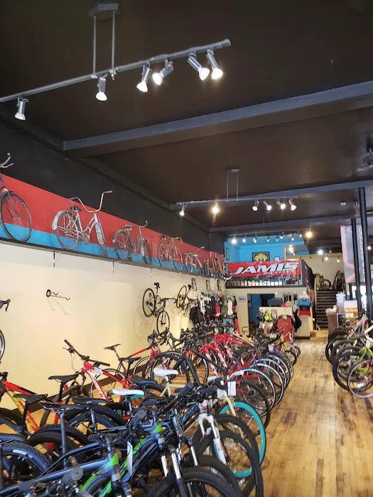 Dave's Bike Shop 7