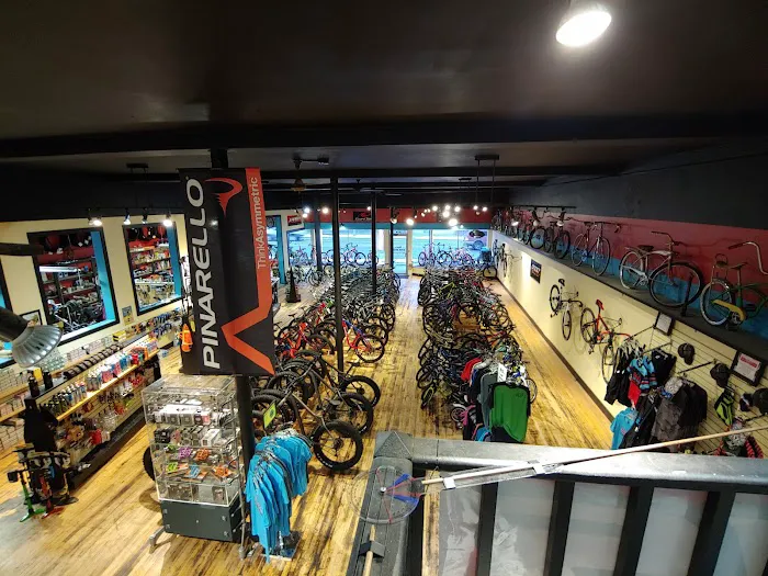 Dave's Bike Shop 2