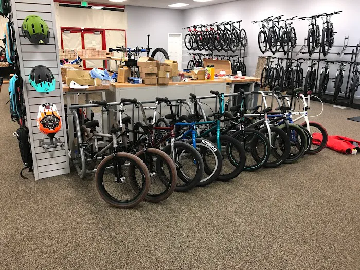 The Bike Shop 4