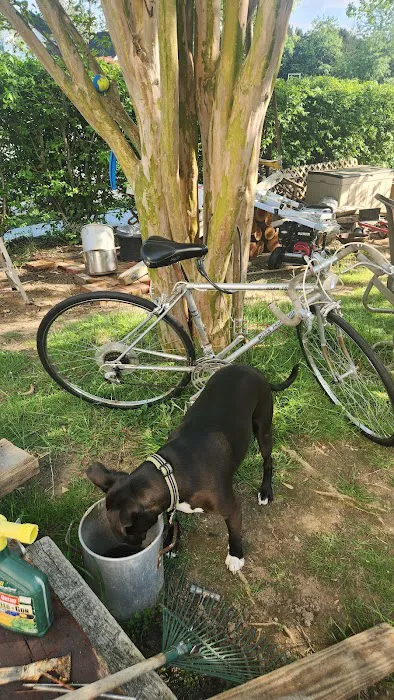 Bike Line 2