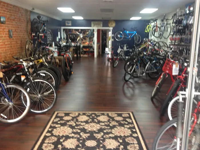 Bad Dog Bikes LLC 2