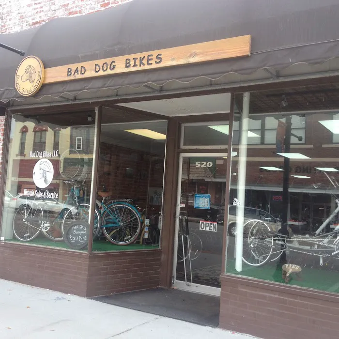 Bad Dog Bikes LLC 0
