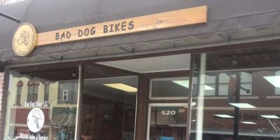 Bad Dog Bikes LLC