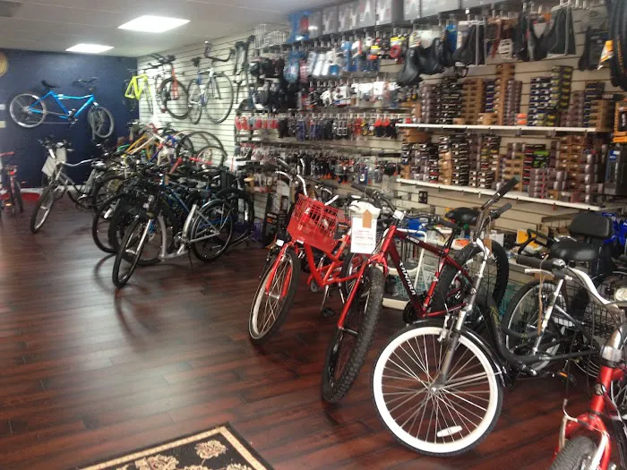 Bad Dog Bikes LLC 1
