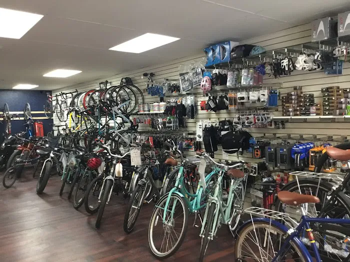 Bad Dog Bikes LLC 3