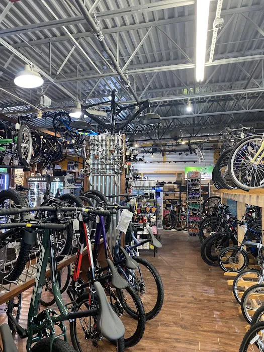 J C's Bikes & Boards LLC 8