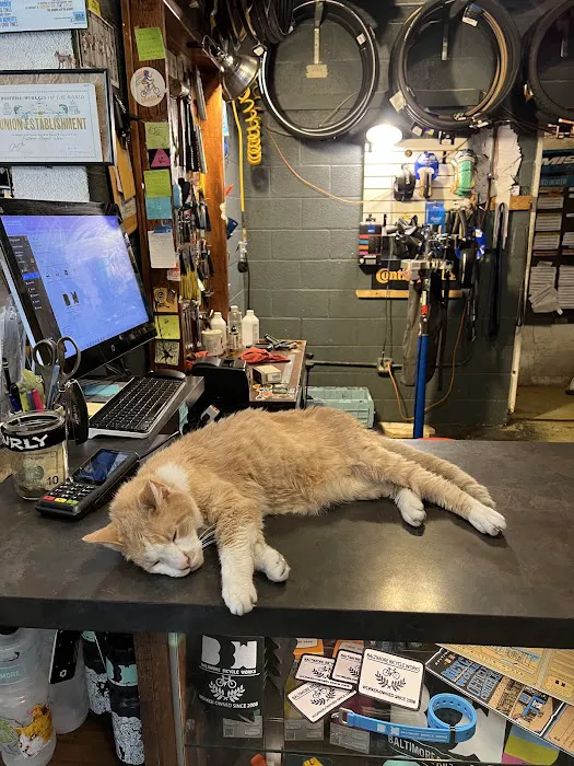 Baltimore Bicycle Works 0