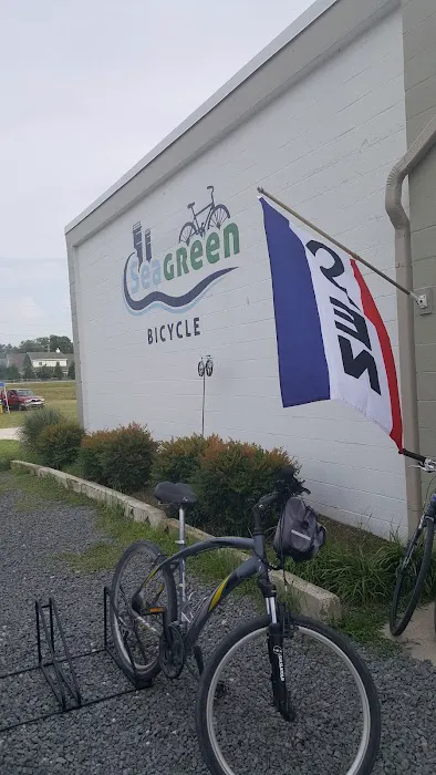 Seagreen Bicycle 0