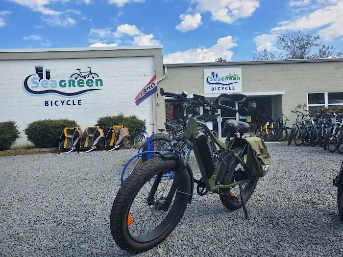 Seagreen Bicycle 1
