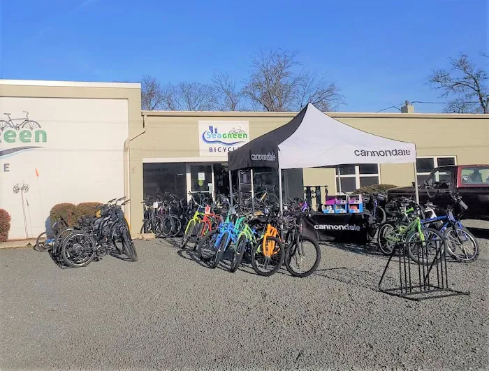 Seagreen Bicycle 9