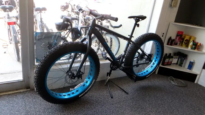 Seagreen Bicycle 2
