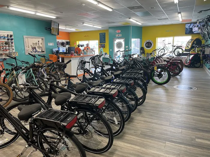 Pedaltec Electric Bikes 3