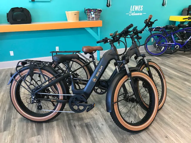 Pedaltec Electric Bikes 5