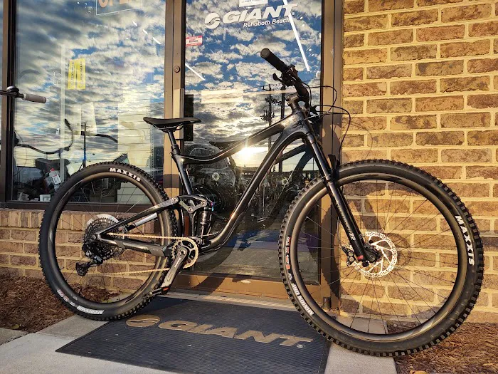 Seagreen Bicycle / Hebron Rd 1