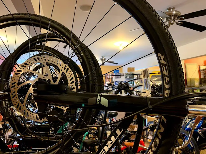 All Wheels Bike Shop 9
