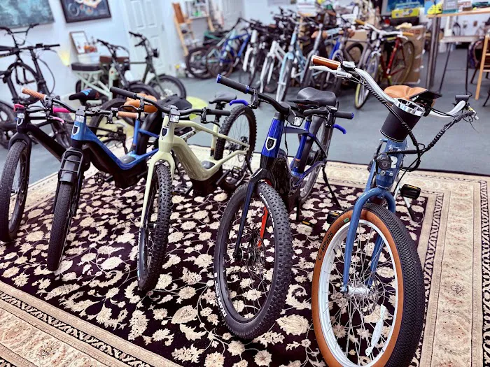 Electrified Rides LLC 9