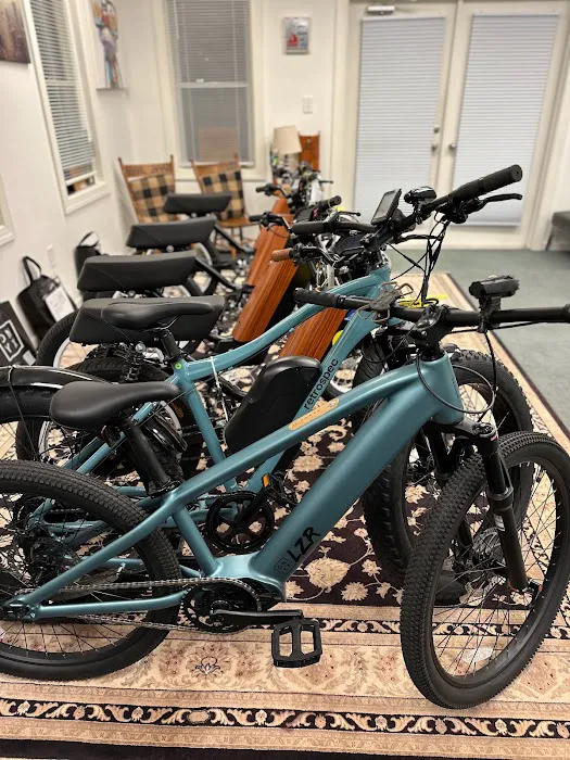 Electrified Rides LLC 2
