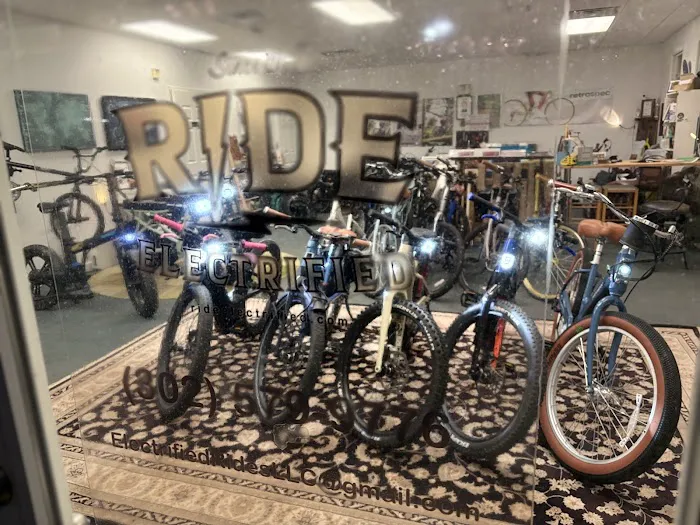 Electrified Rides LLC 7