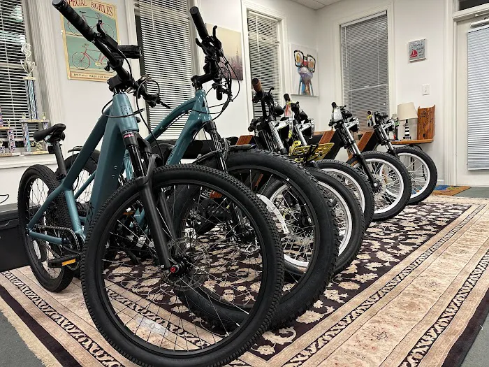 Electrified Rides LLC 5