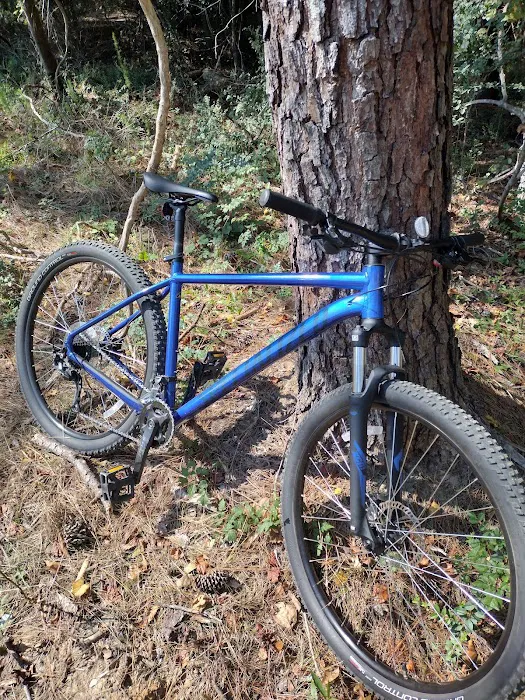 Phil's Bicycle World 8