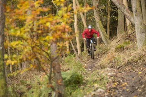 How to Ride Mountain Trails Safely: Tips and Essential Practices