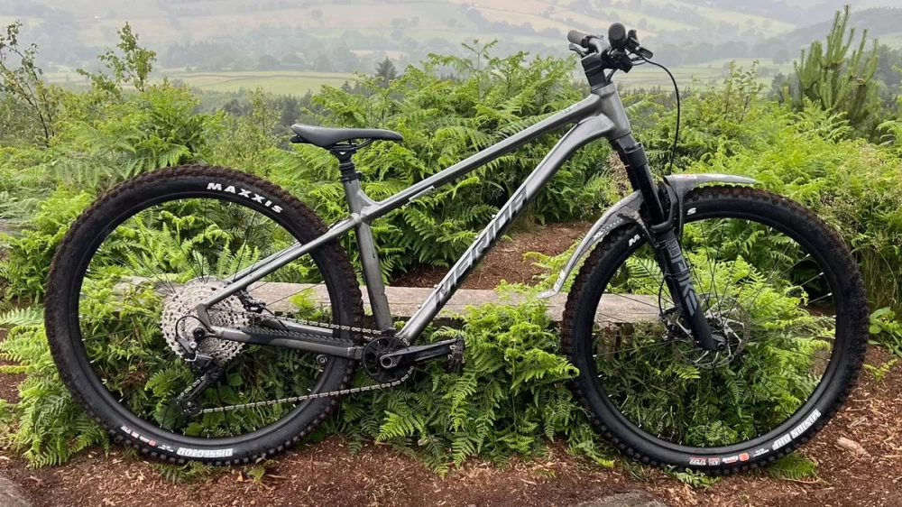 Best Budget-Friendly Bikes for Beginners: Top Picks and Tips