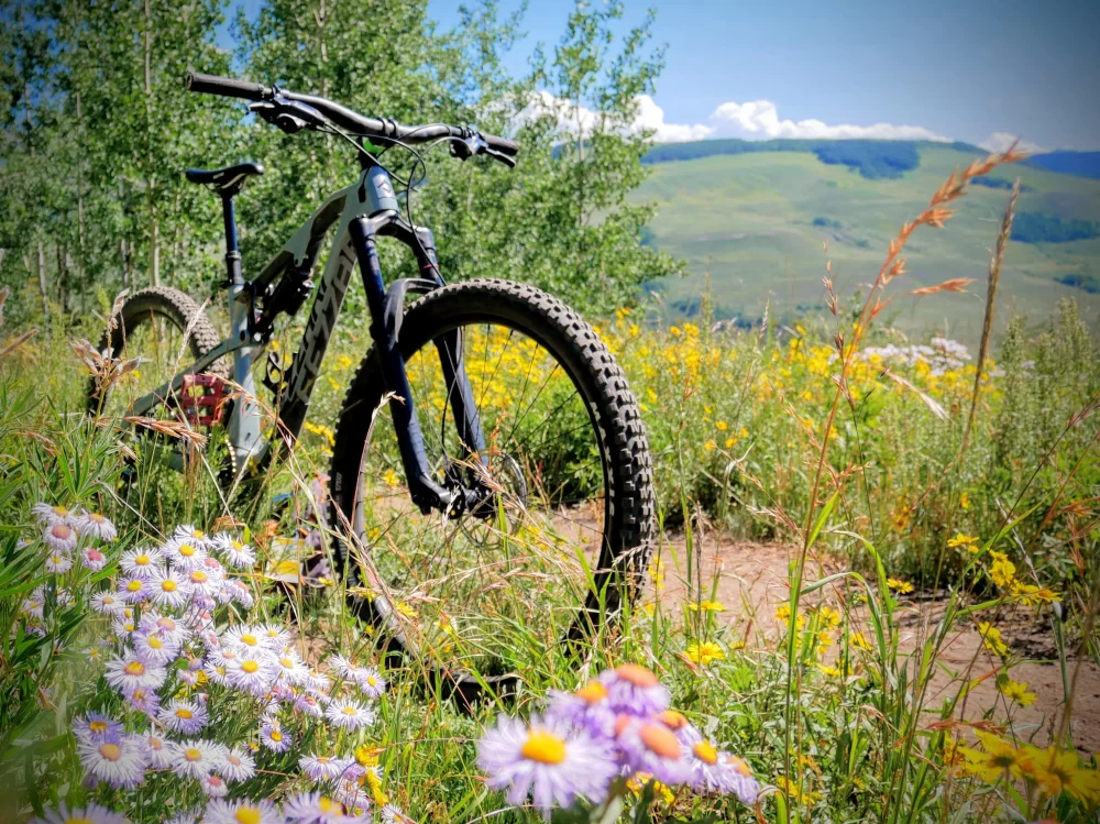 Best Mountain Bikes for Rugged Trails in 2025: Top Picks and Expert Tips