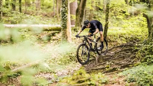 The Ultimate Guide to Mountain Bikes for All-Mountain Riding in the USA