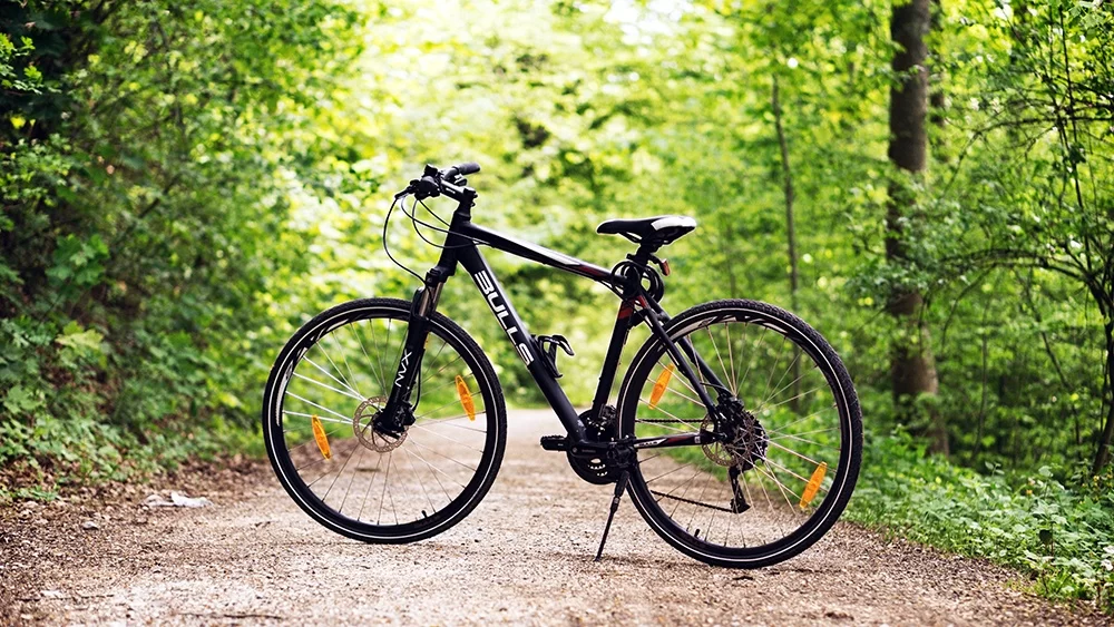 Affordable Mountain Bikes Under $1000: Best Picks for Quality and Value